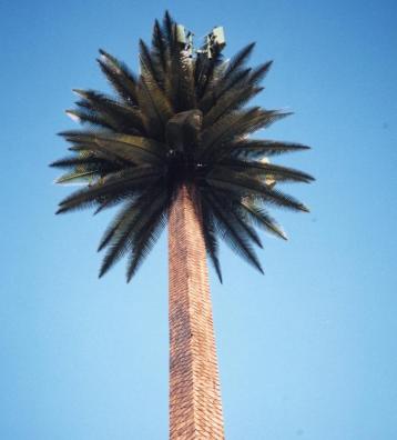 Palm Pole